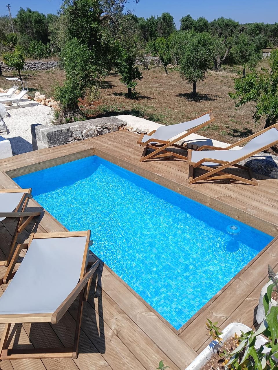 Pool view, Swimming pool, sunbed
