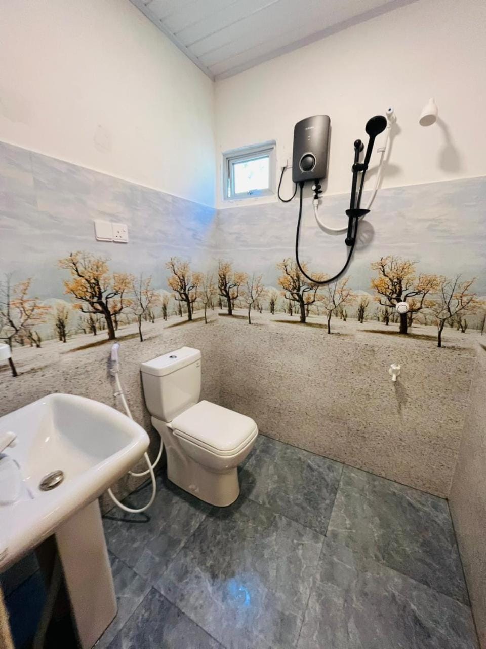 Shower, Toilet