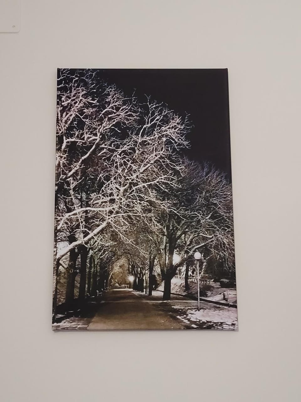 Natural landscape, Winter, Decorative detail