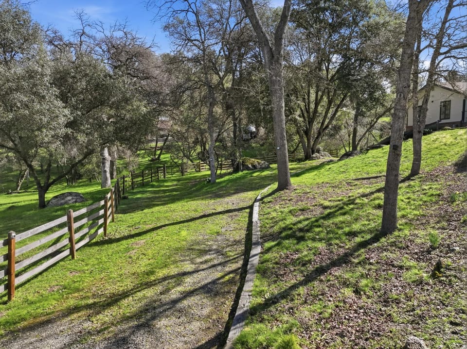 Spring, Day, Natural landscape, Garden, Garden view