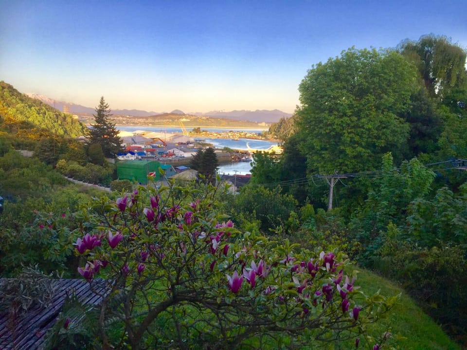 Garden, Garden view, Sea view