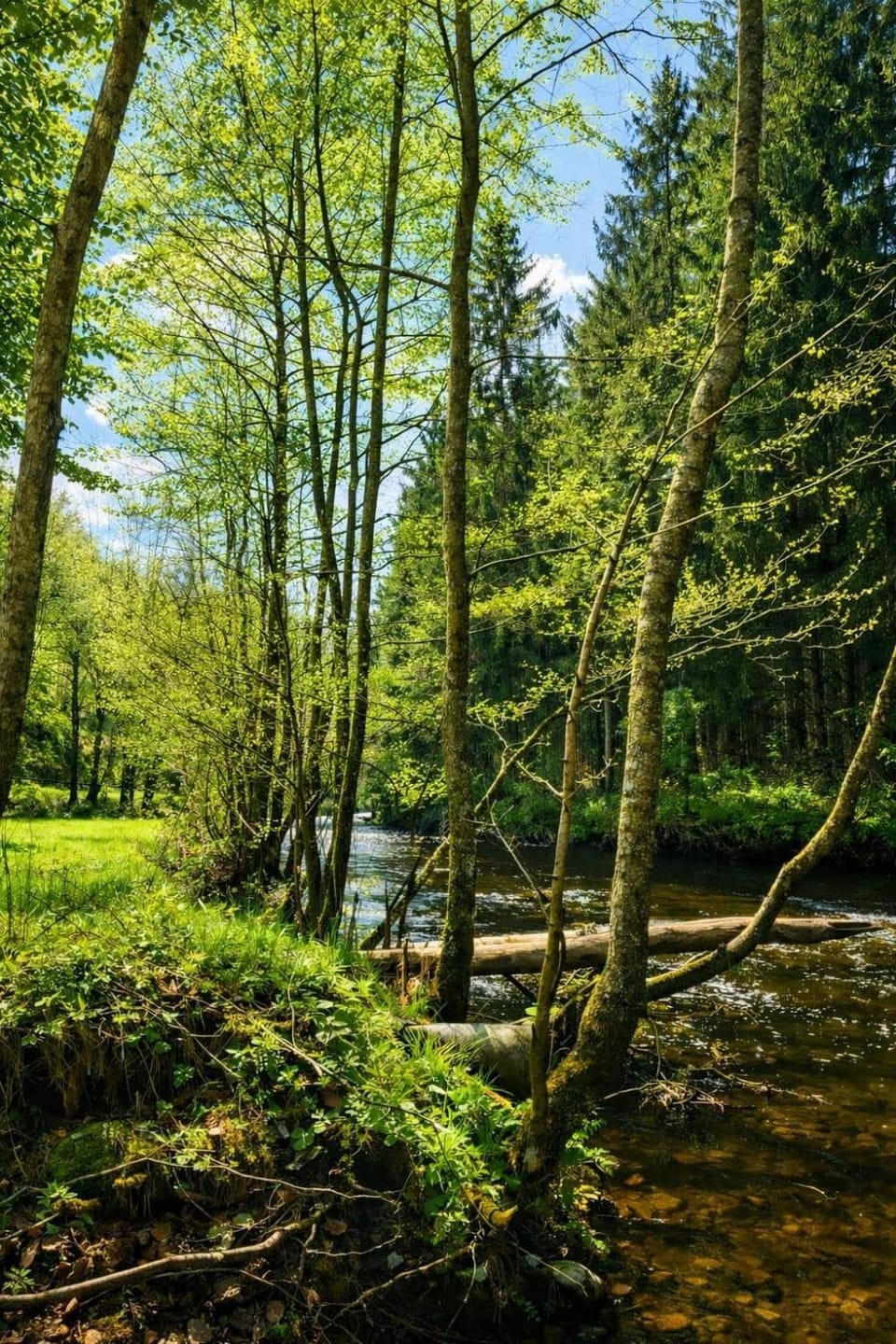Natural landscape
