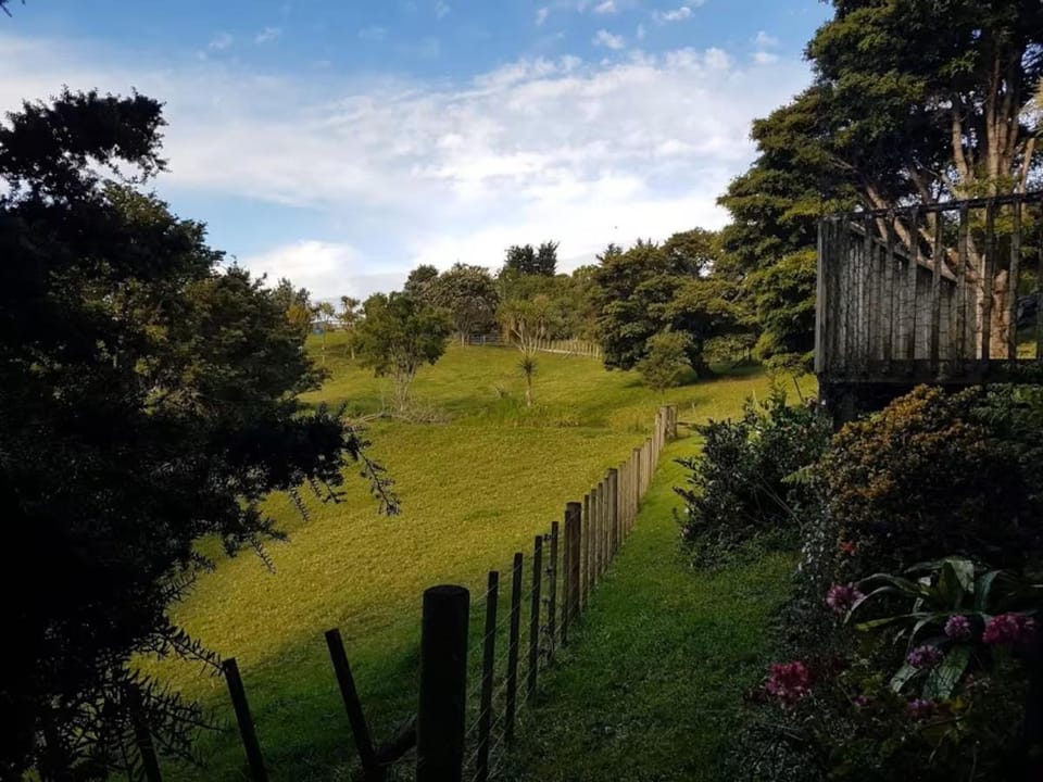 Stunning Secluded Sanctuary House in Te Arai