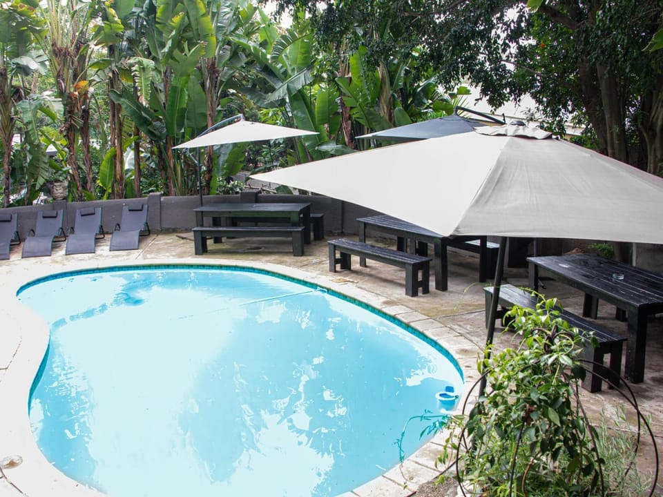 Muckleneuk Manor B&B and Guest House Bed and Breakfast in Pretoria