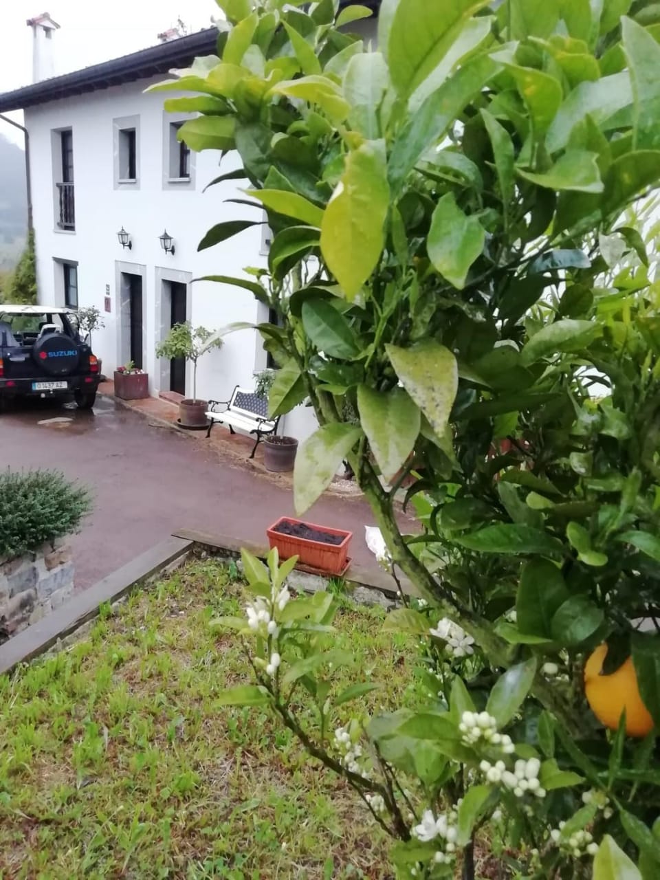 El Oteru I Country House in Asturias