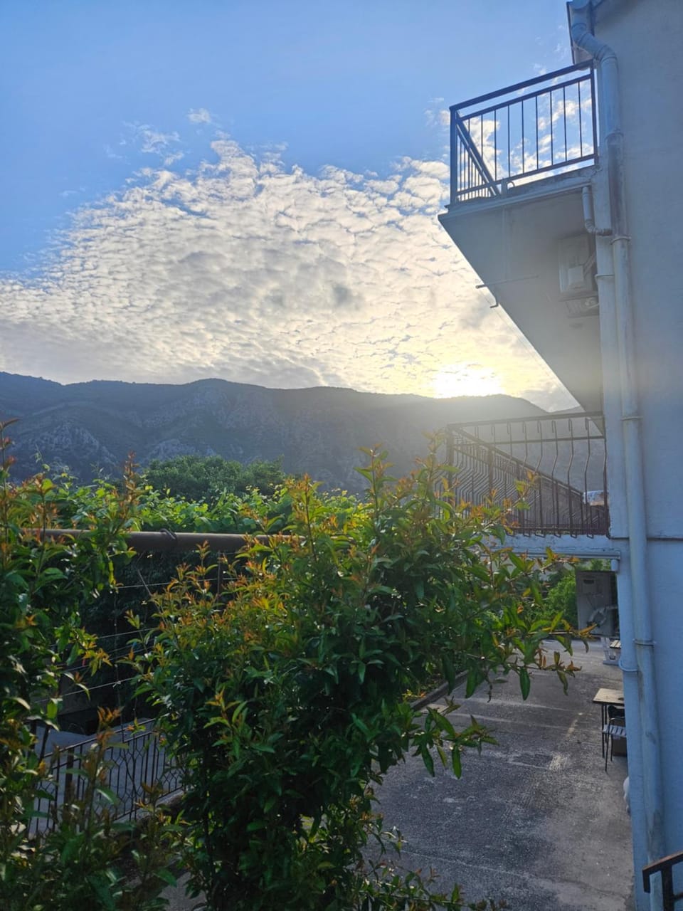 Žana Apartment in Dobrota
