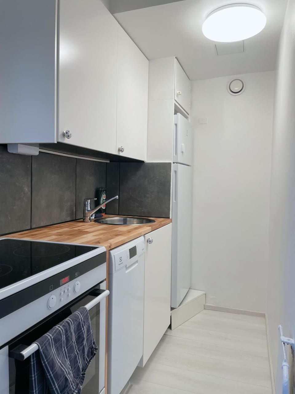 Kitchen or kitchenette, dishwasher, oven, stove