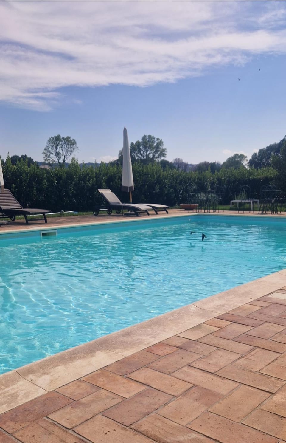 La Spiga n 7, Porto Recanati con piscina in residence House in Marche