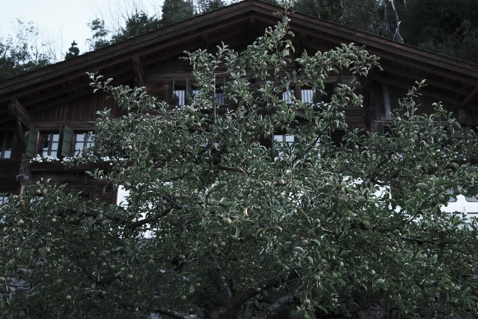 Property building, Garden
