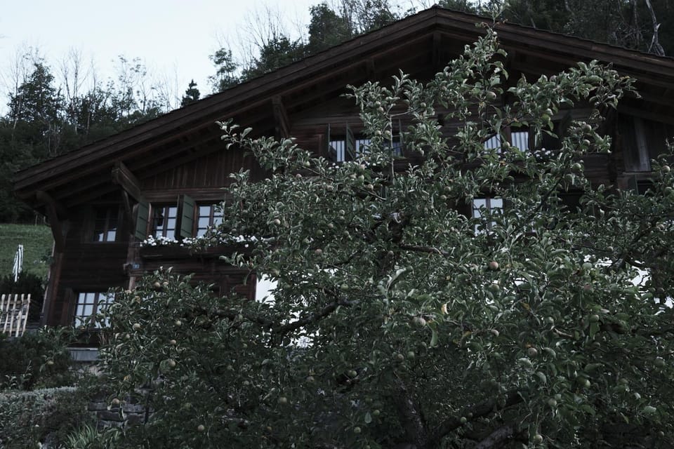 Property building, Day, Garden