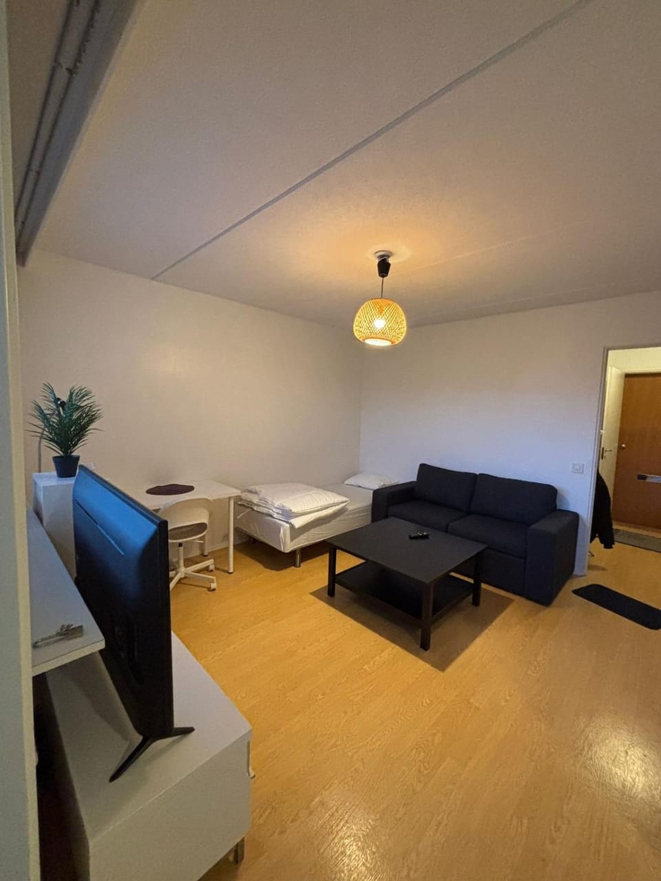 Living room, Photo of the whole room, Seating area