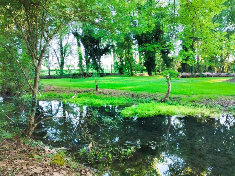 Natural landscape