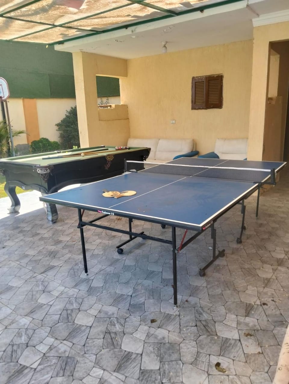 Table tennis, Table tennis