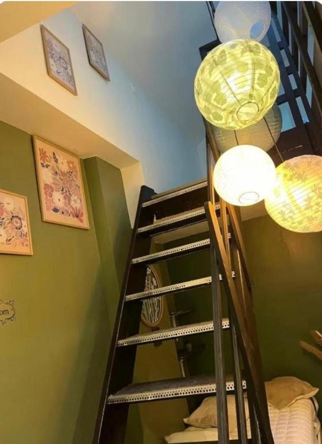 duplex 3 Apartment in Le Havre