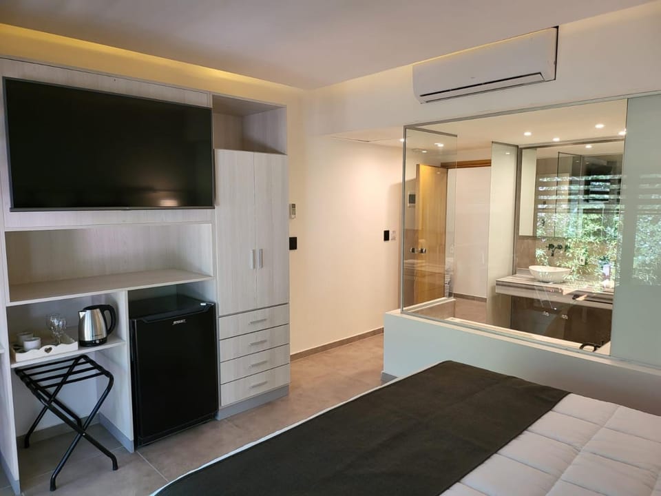 Bed, Hot Tub, TV and multimedia, Photo of the whole room, Bedroom