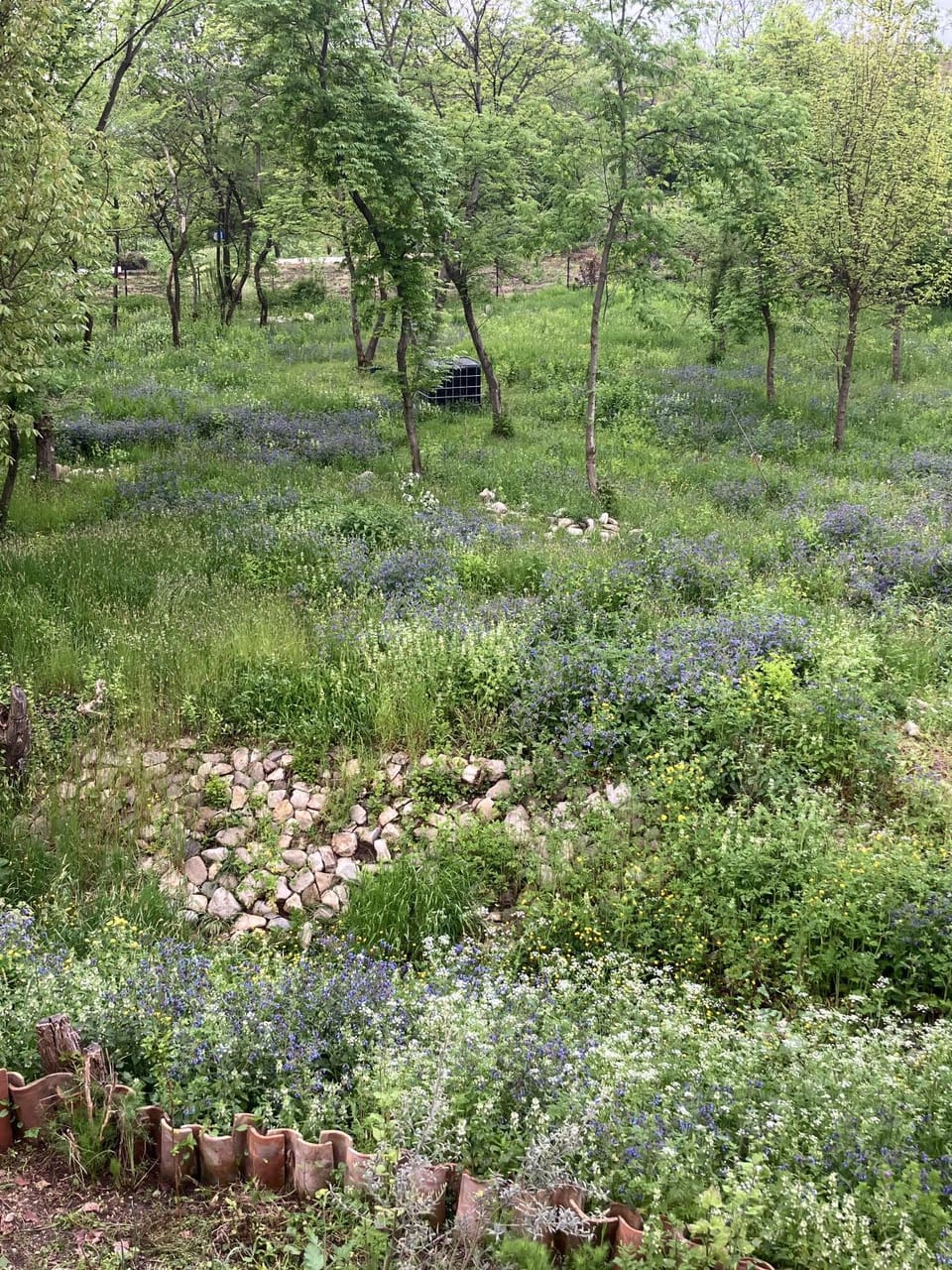 Garden, Garden view