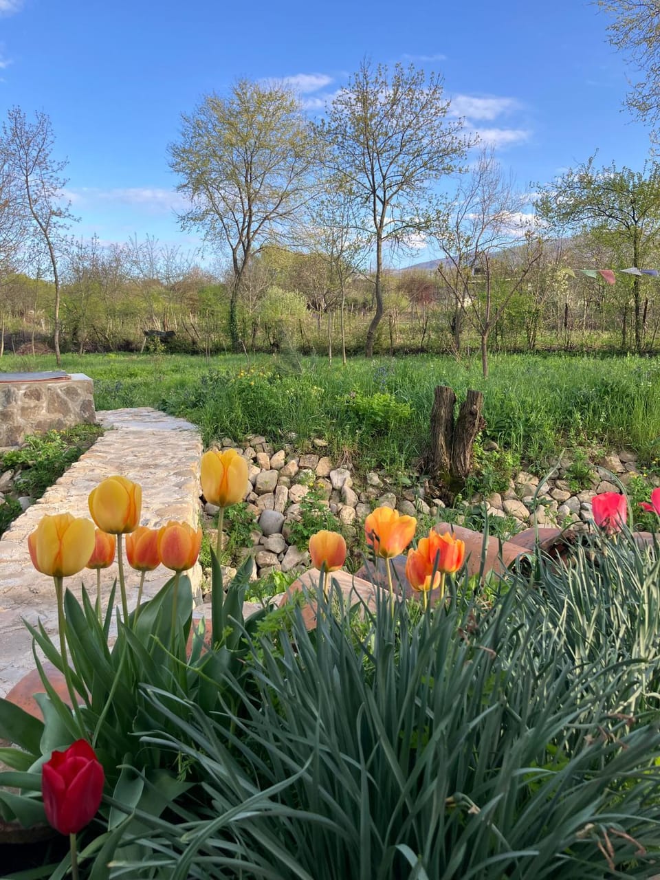 Garden, Garden view