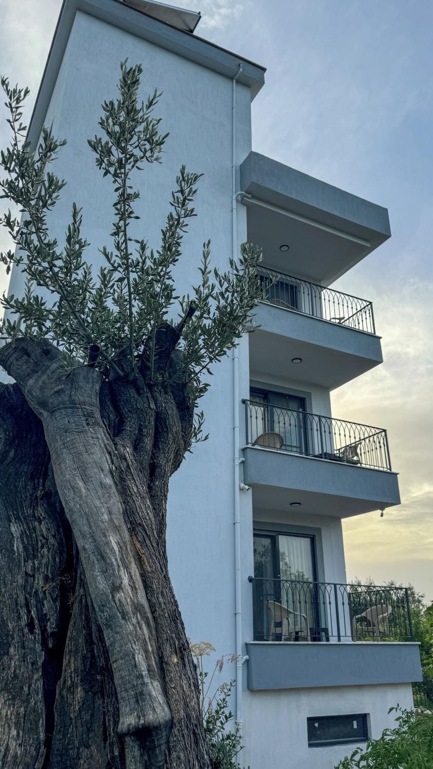 Kent Pansiyon Ayvalık Bed and Breakfast in İzmir Province