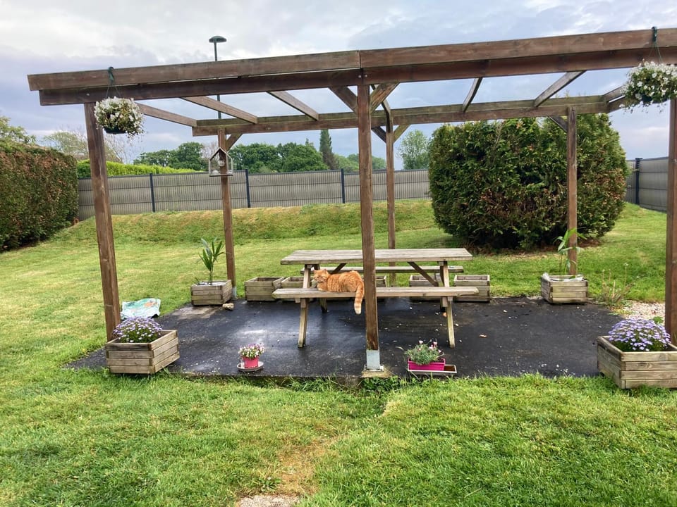Garden view