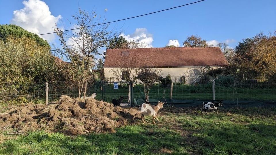 Gîte de la Pinsonnerie House in Centre-Val de Loire