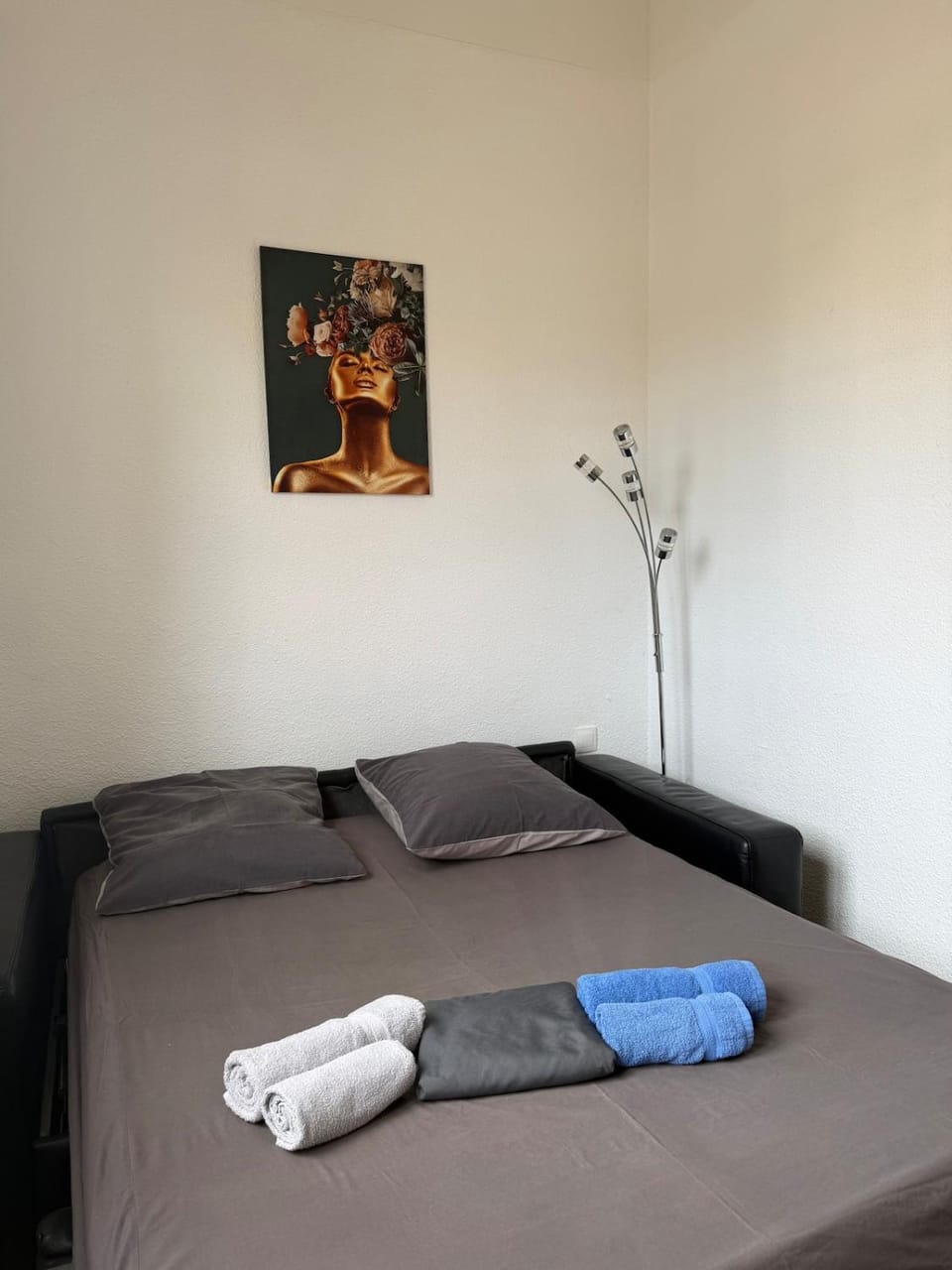 Spring Studio Apartment in Perpignan