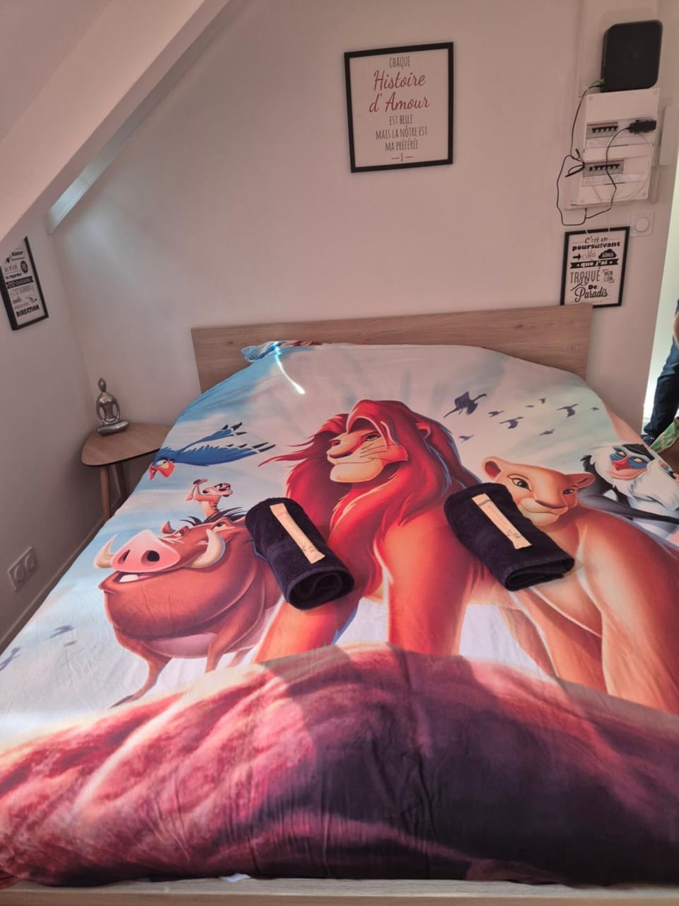 Hakuna Matata Apartment in Brittany