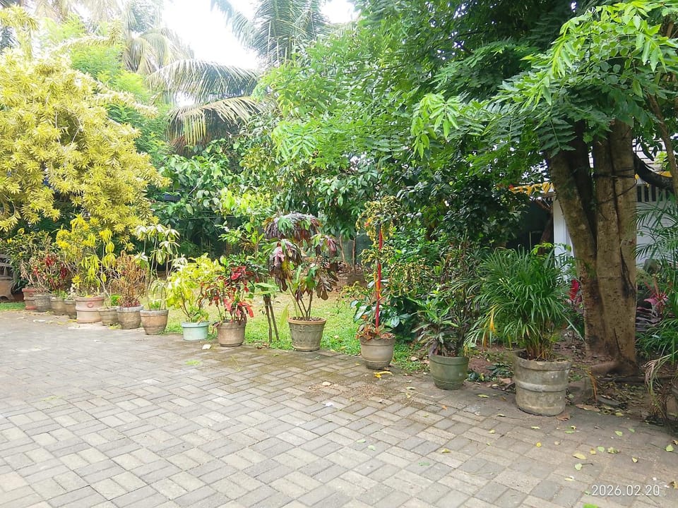 Vegan Stay Colombo Private Room & Meals Vacation rental in Dehiwala-Mount Lavinia