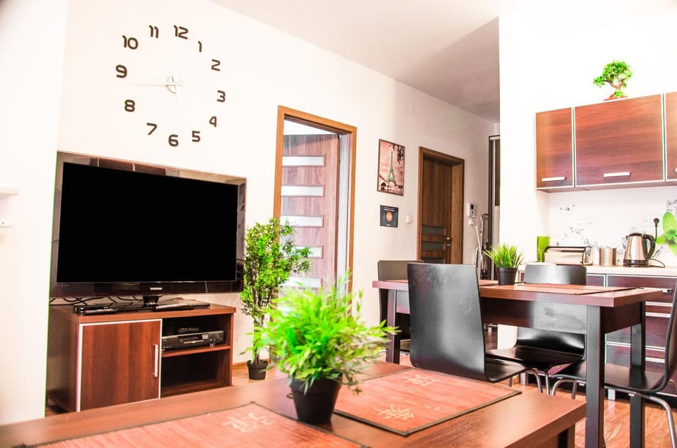 TV and multimedia, Kitchen or kitchenette, Living room, Photo of the whole room, Decorative detail, Dining area, On site