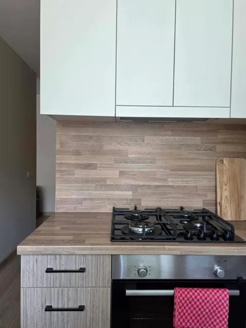 Modernus 1 kambario butas Apartment in Lithuania