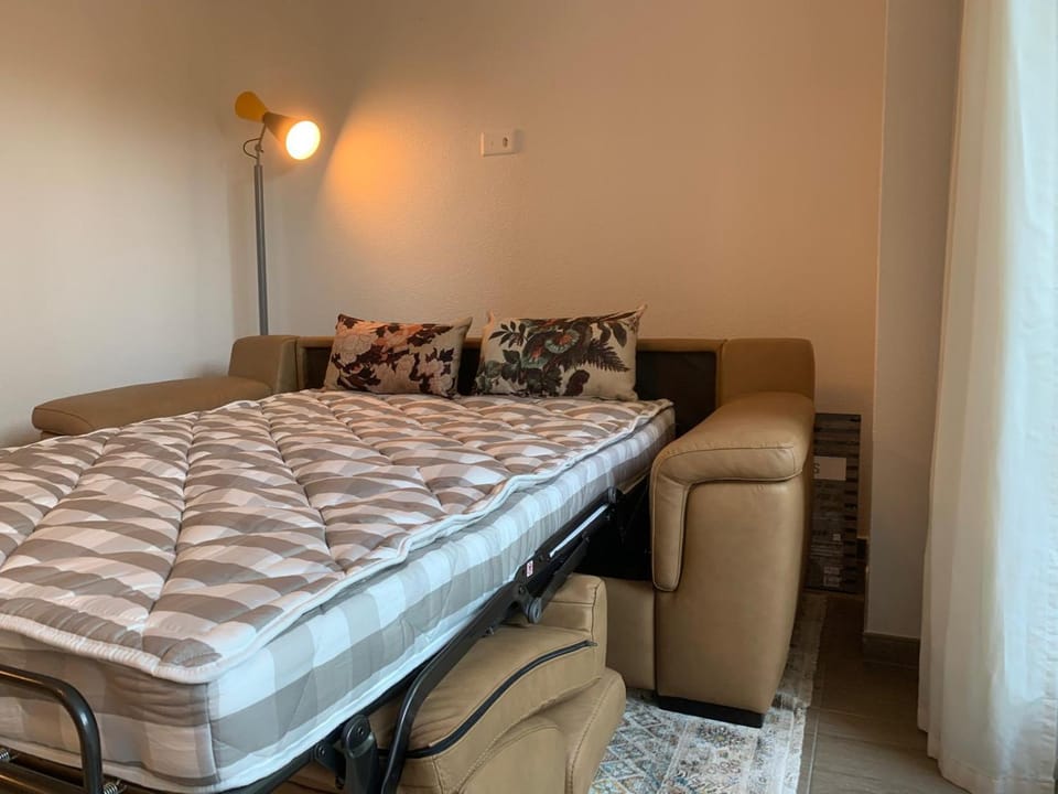 Studio Cossy Apartment in Nyon