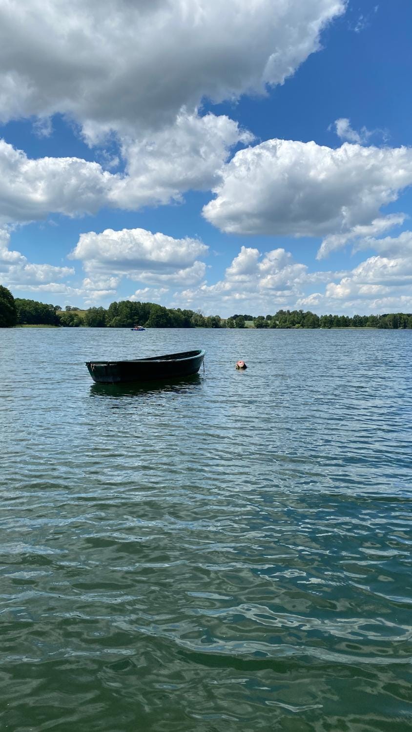 View (from property/room), Lake view