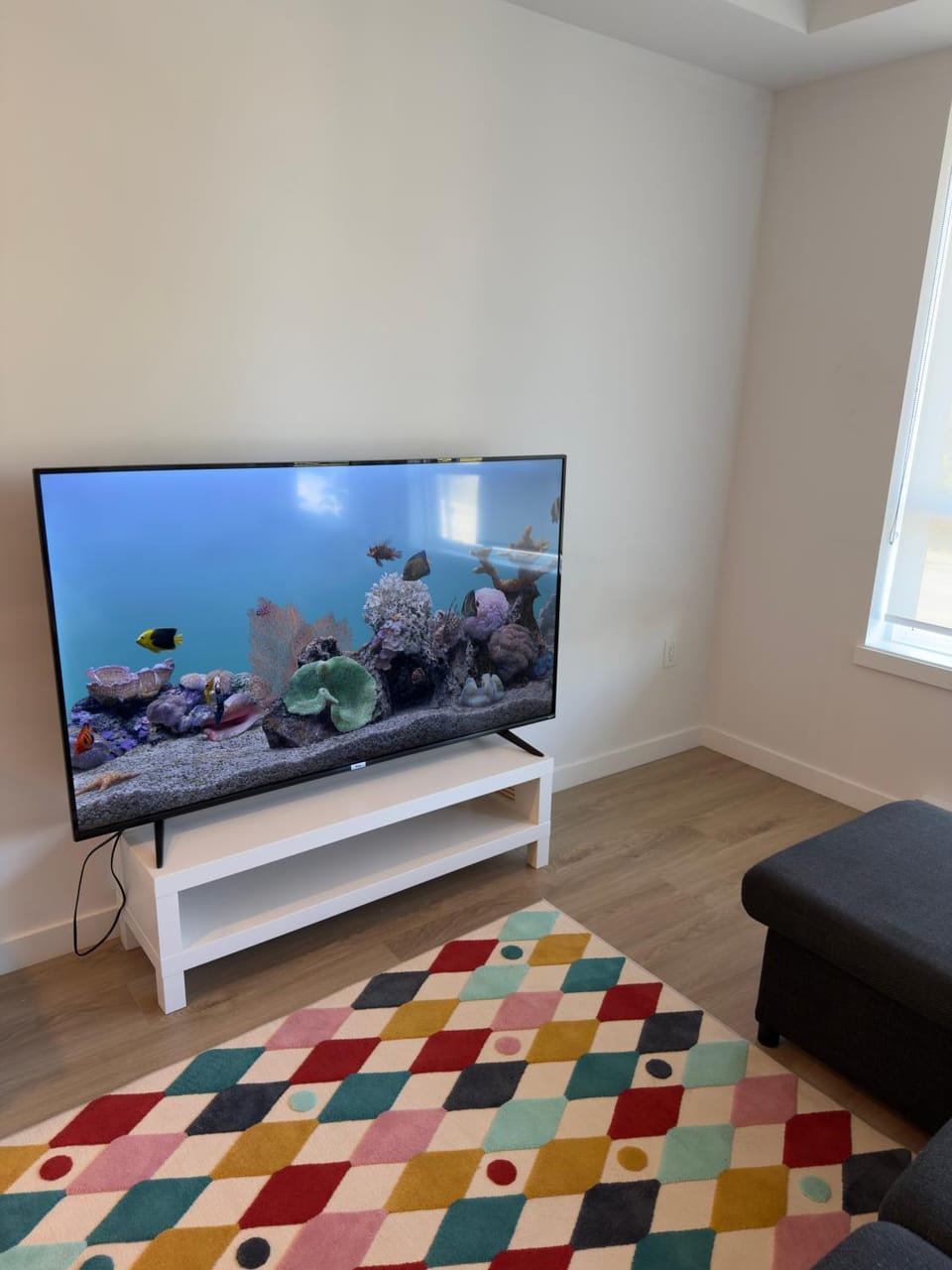 TV and multimedia