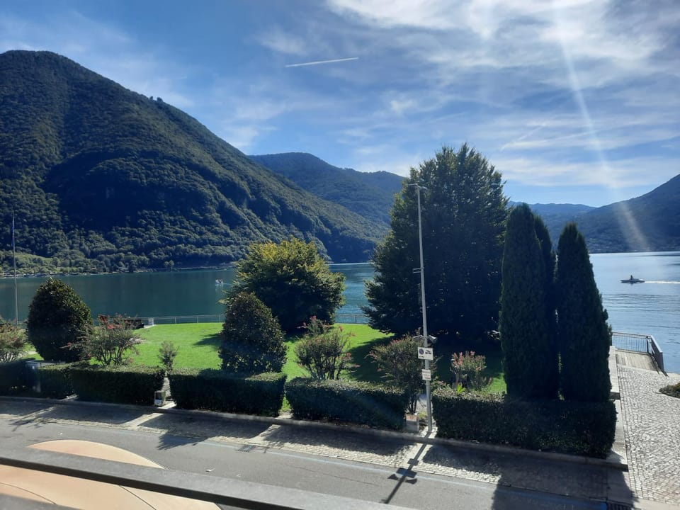 Lake view