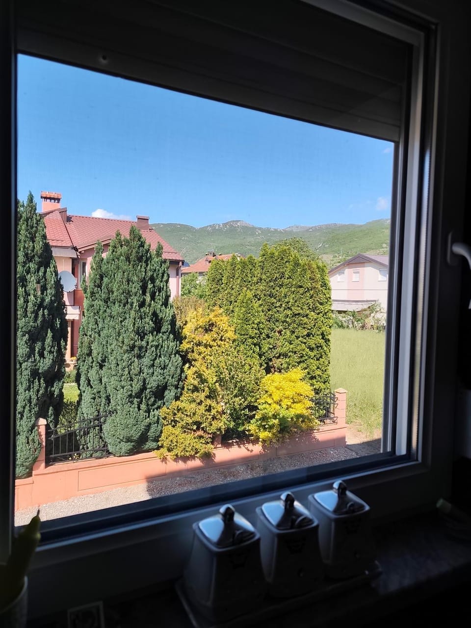 Garden view