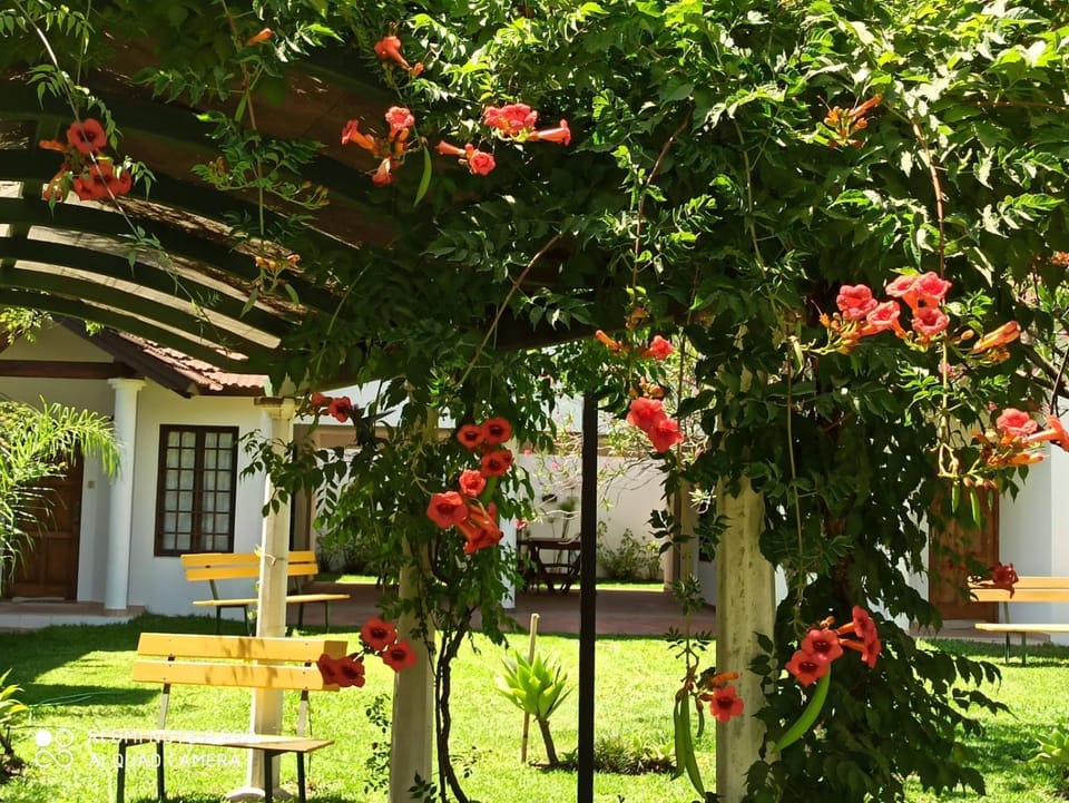 Carolina Chalet Apartment in Colón