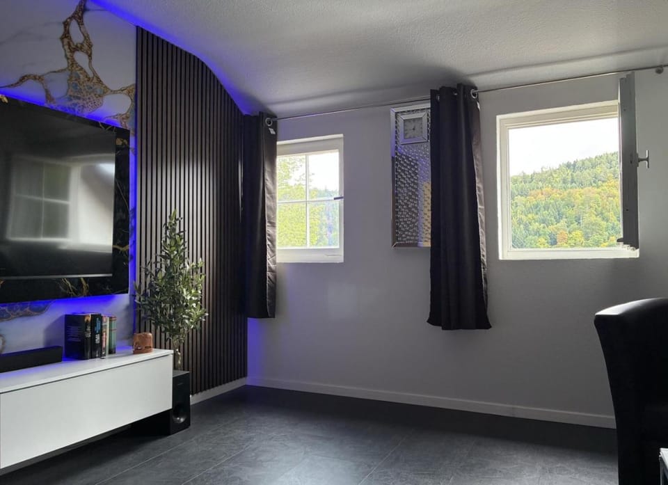 TV and multimedia, View (from property/room), storage