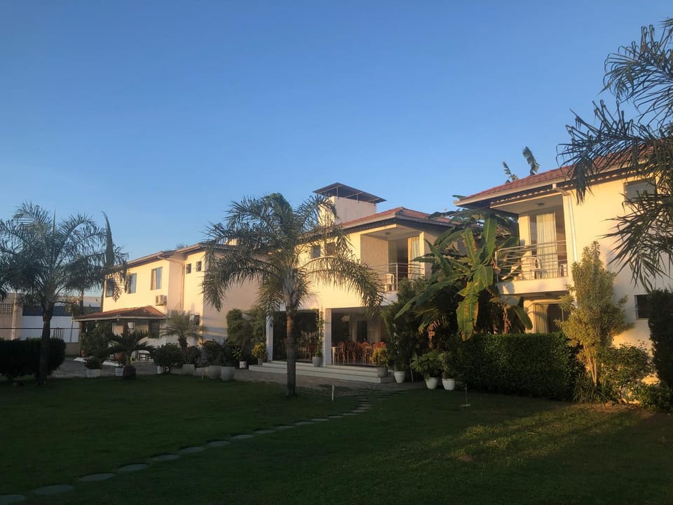 Garden view