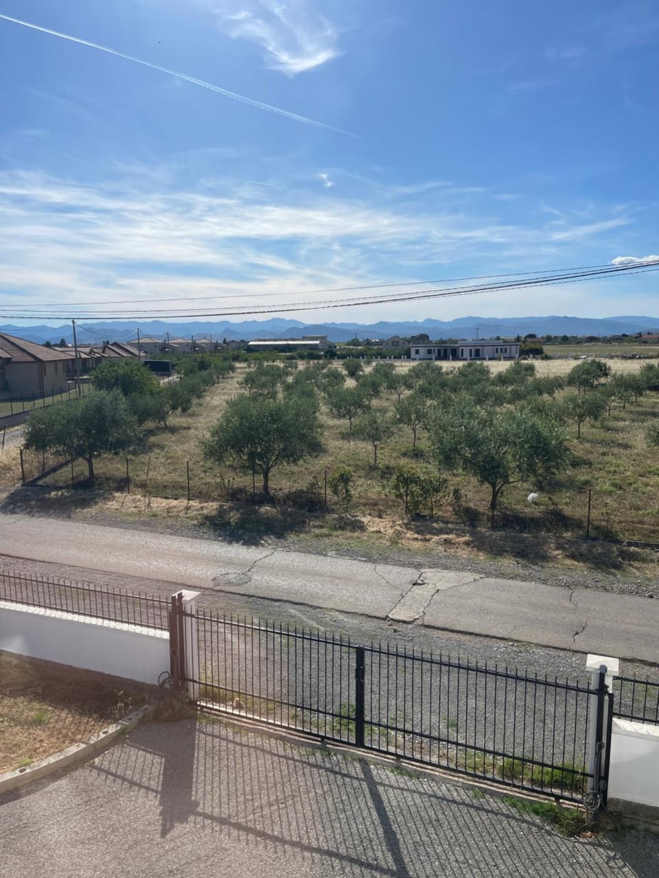 Garden view