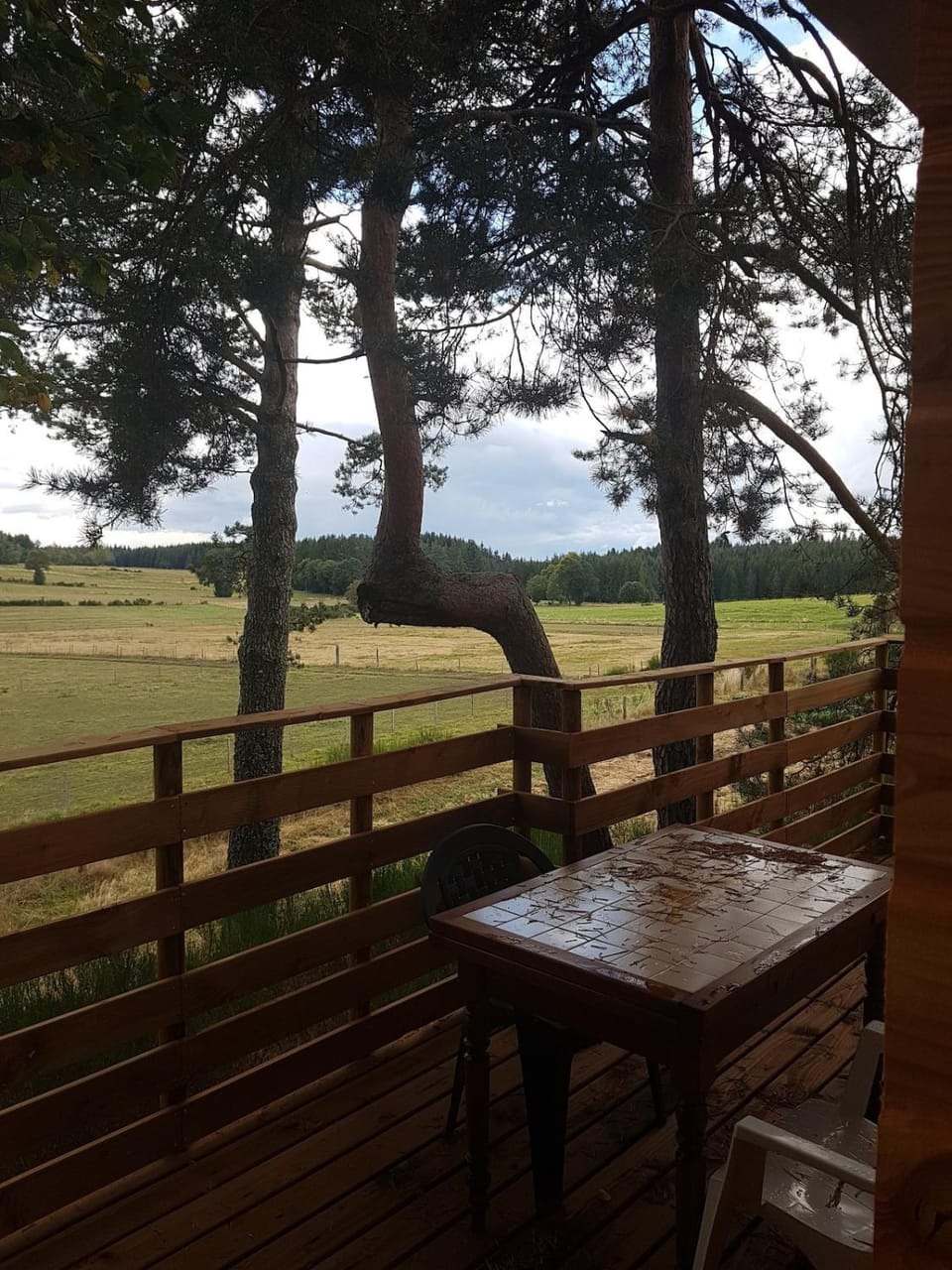 Chalet, chrysalide, ferme de Vovady Chalet in Auvergne-Rhône-Alpes