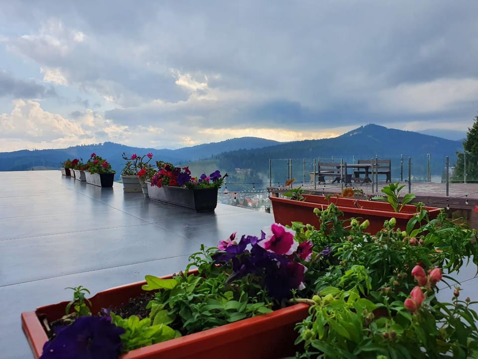 View (from property/room), Balcony/Terrace, Balcony/Terrace