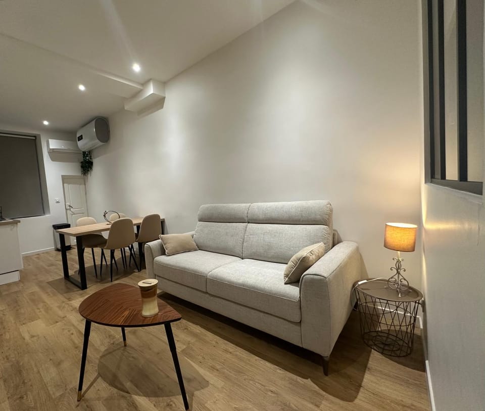 Centre historique, climatisé, entièrement neuf Apartment in Dijon