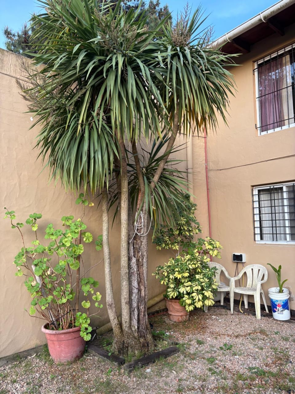 Complejo Hory Mar Apartment in Villa Gesell