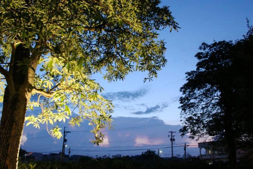 Garden view