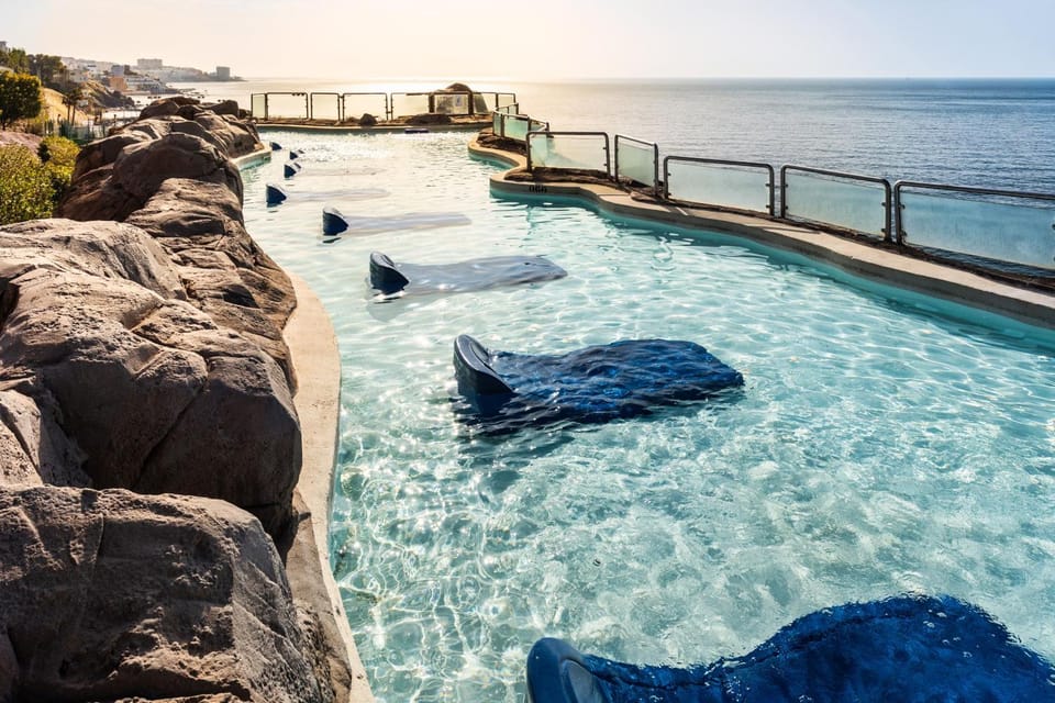 View (from property/room), Sea view, Swimming pool