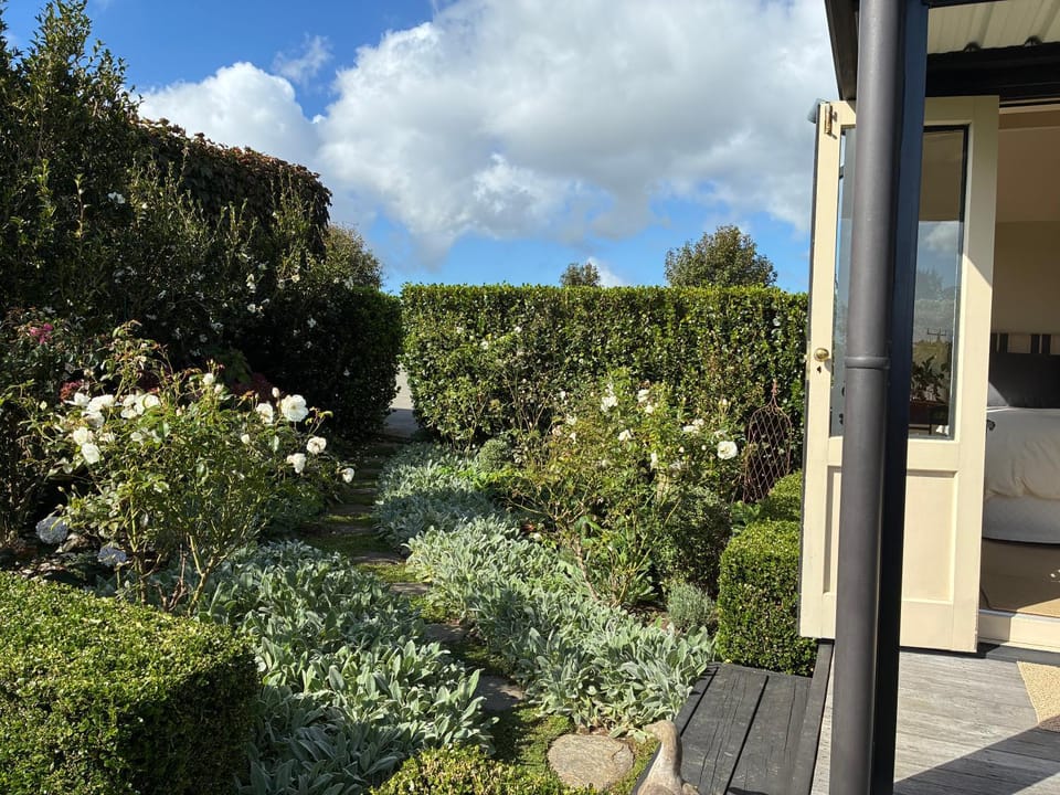 Tswalu Bed and Breakfast in Raglan