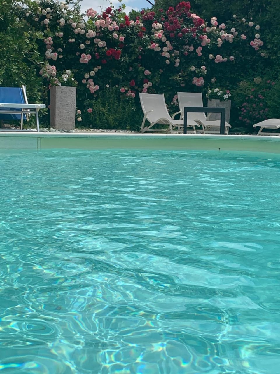 Swimming pool, Swimming pool