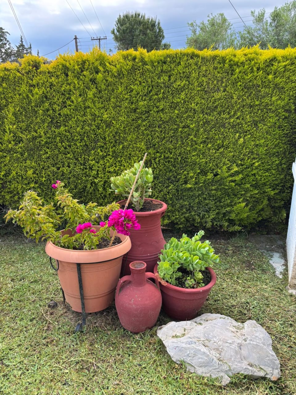 Garden, Garden view