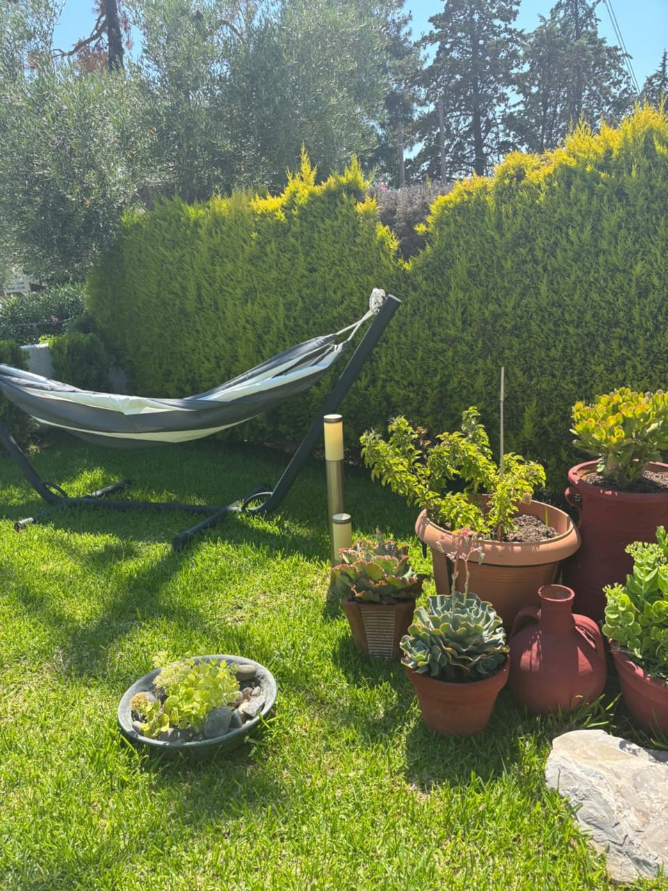 Garden, Garden view