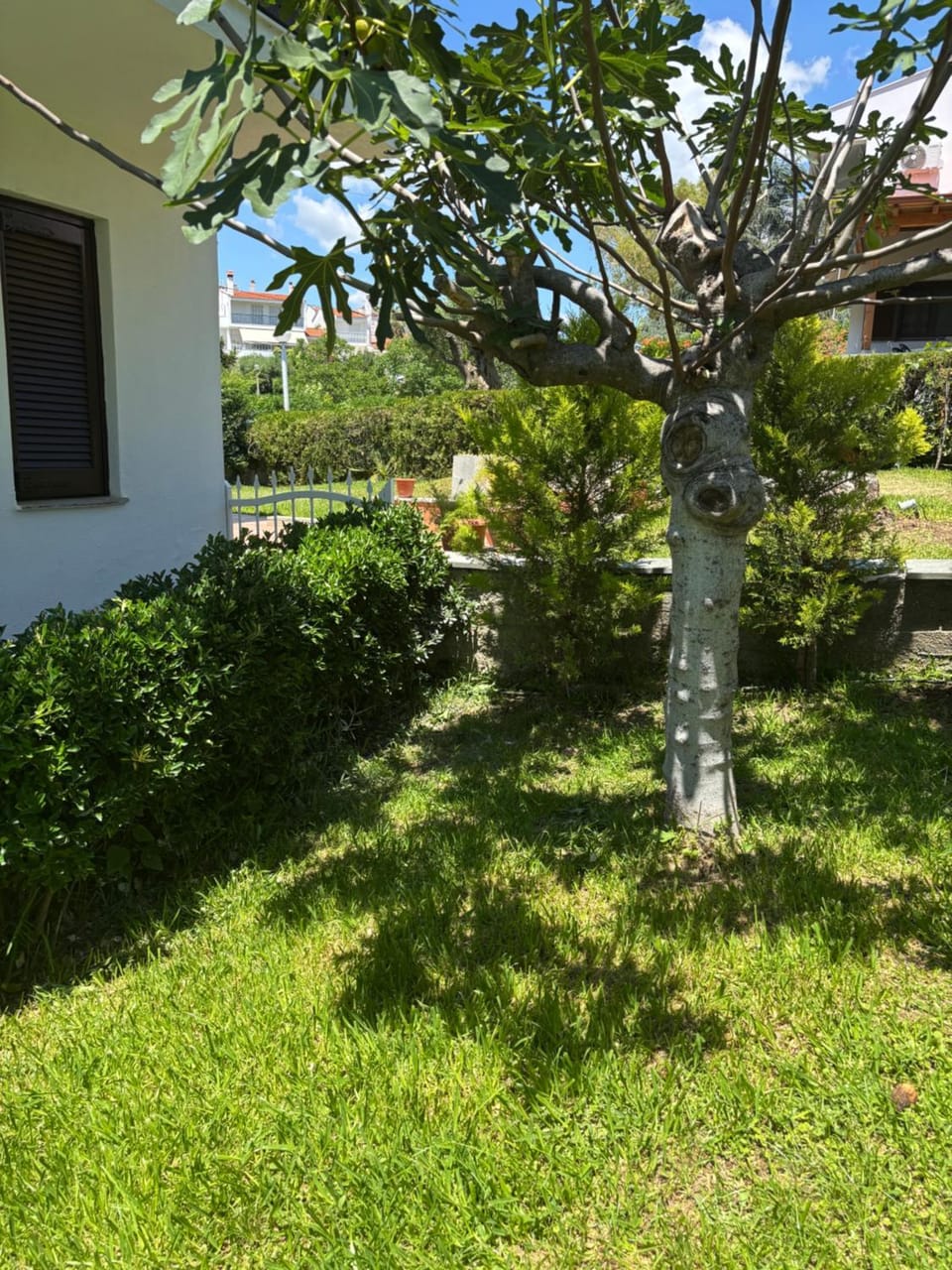 Garden, Garden view
