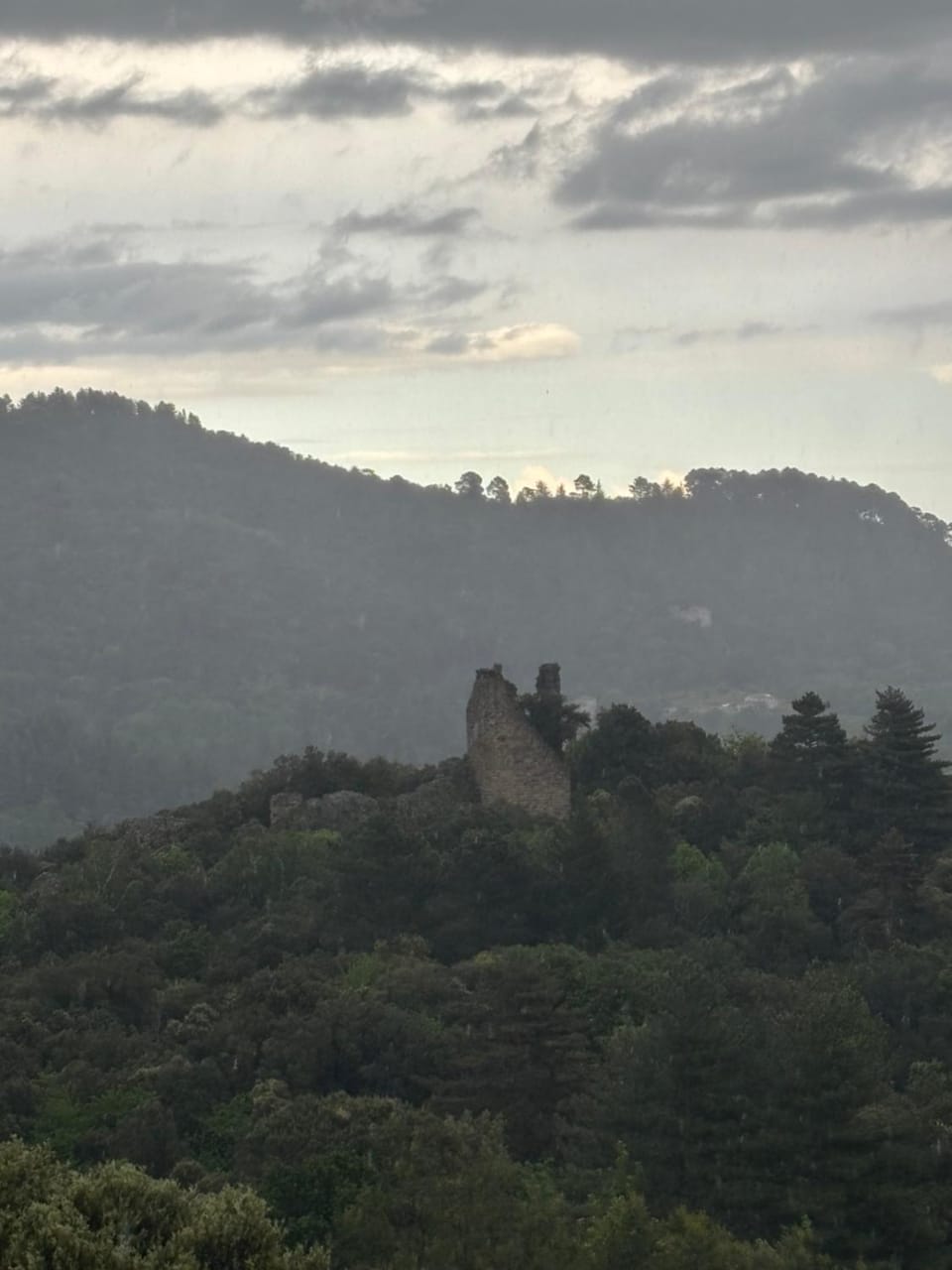 Cocon cosy en Cévennes - La Grange de Luna Apartment in Occitanie